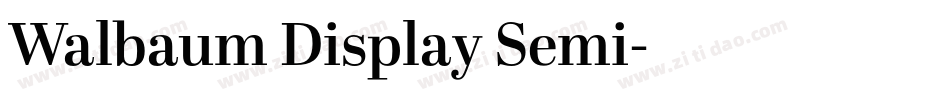 Walbaum Display Semi字体转换